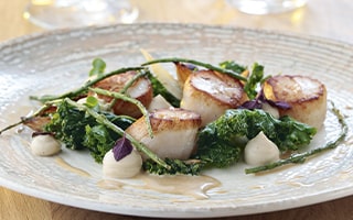 Recette de Chef - Saint-Jacques au Beurre de Thym, céleri torréfié et choux kale