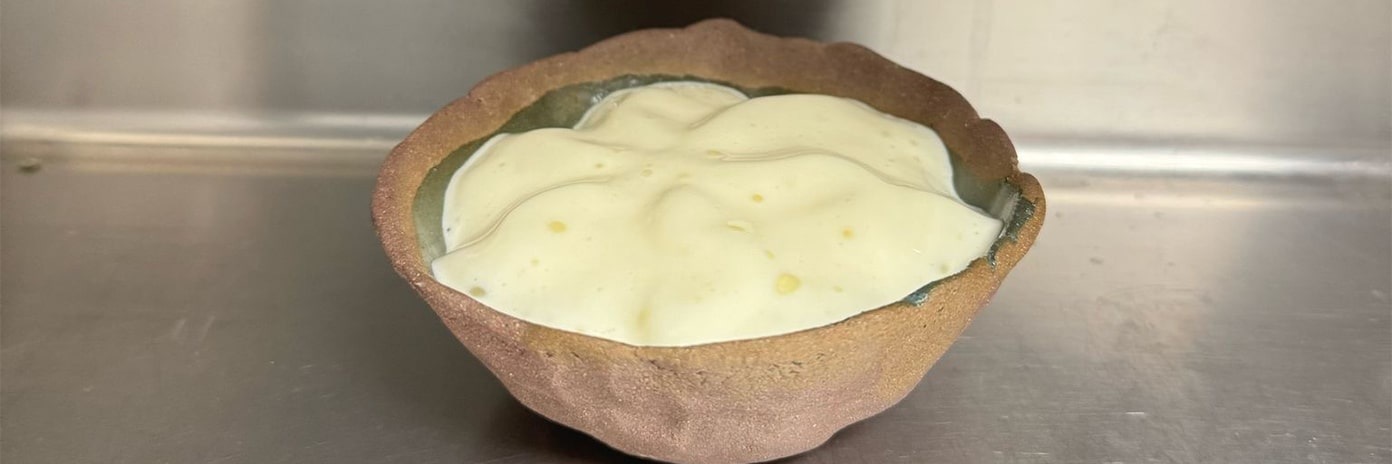 Recette de chef - Mayonnaise Allégée au Siphon - Wilfried Romain