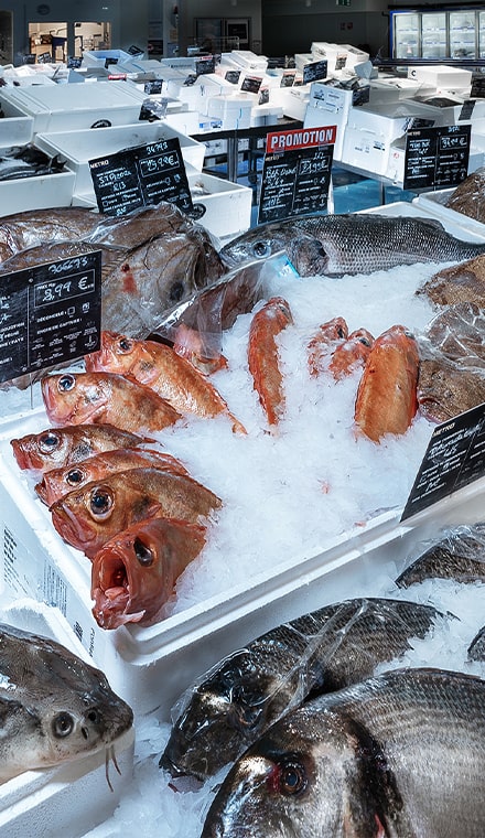 METRO - Engagé pour les produits frais - Rayon marée