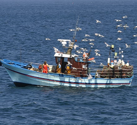 Bateau de pêche