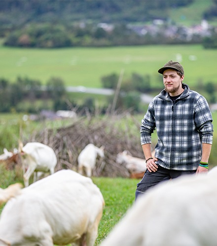 Agriculteur dans un champ avec ses animaux