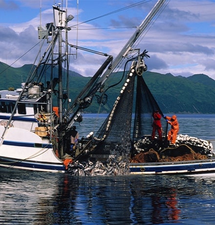 Bateau de pêche à la senne