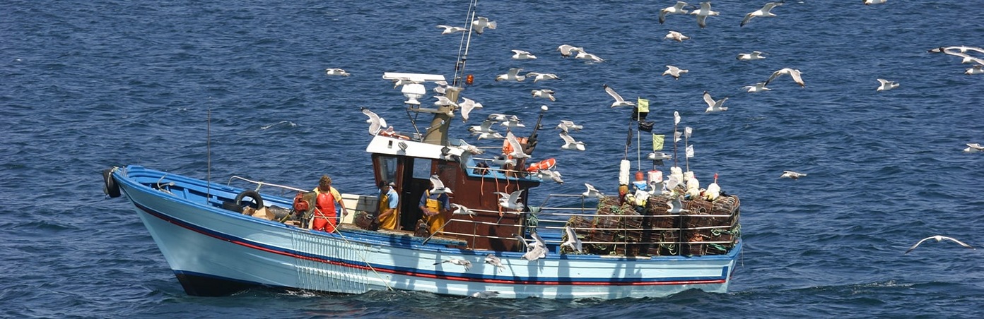 Bateau de pêche