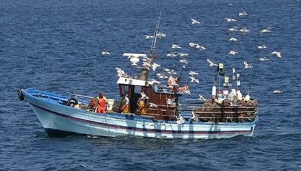 Bateau pour une pêche durable