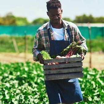 Producteur avec un cageot de légumes dans son champ