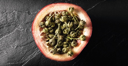 Engagement Premium - METRO