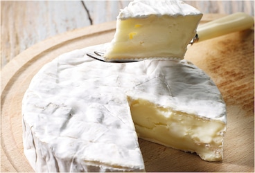 La Maison du Fromage - Le camembert vieux
