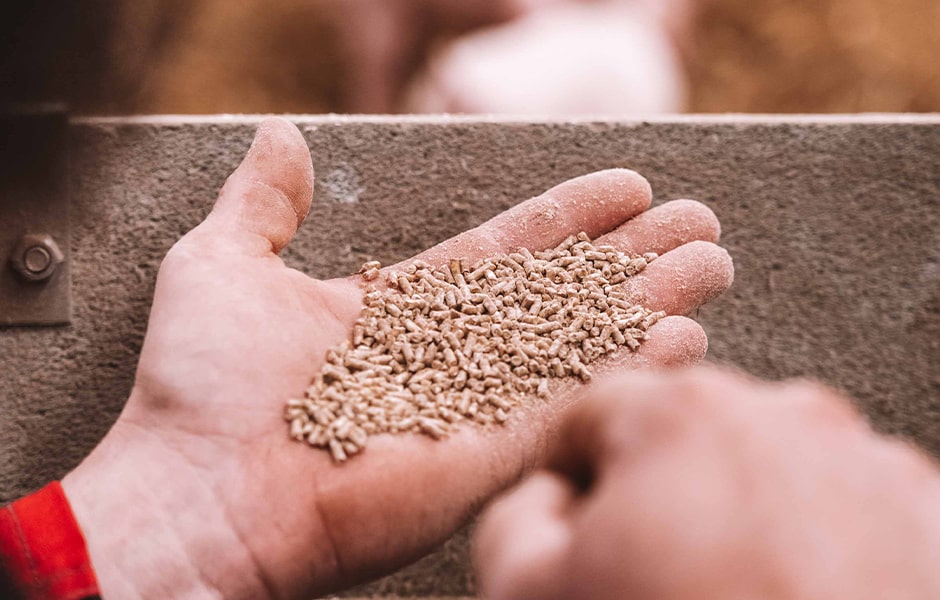 Alimentation des porcs METRO CHEF : granulés 100% bio