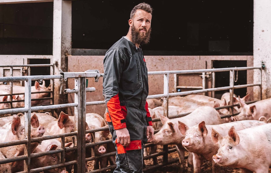 Aurélien Onillon, éleveur de porc METRO CHEF