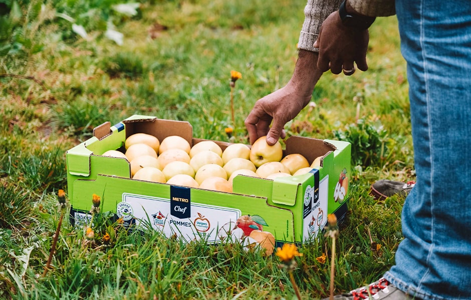 Cagot de pommes METRO Chef