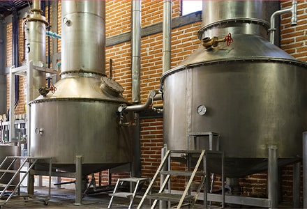 Fabrication et maturation tequila