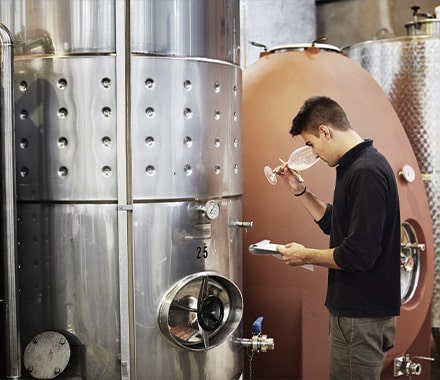 Homme dégustant un vin blanc devant des cuves