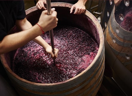 Processus de vinification du vin