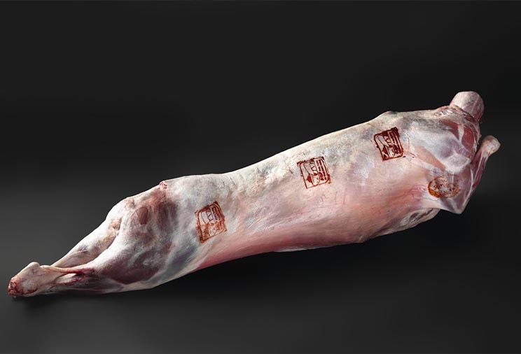 carcasse d'agneau