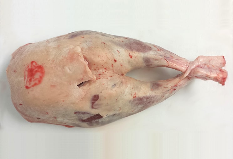 Quartier arrière d'agneau