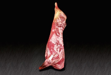 Carcasse de boeuf
