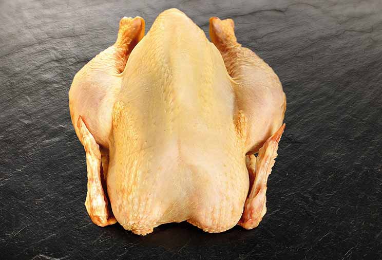 chapon de volaille
