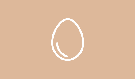 Picto œuf fond couleur œuf