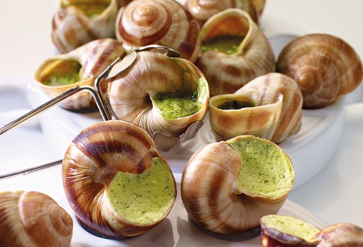 Je découvre les escargots