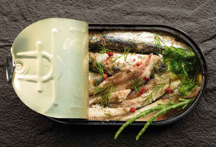 Conserves de poissons