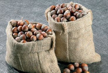 Fruits à coques Fruits à coques