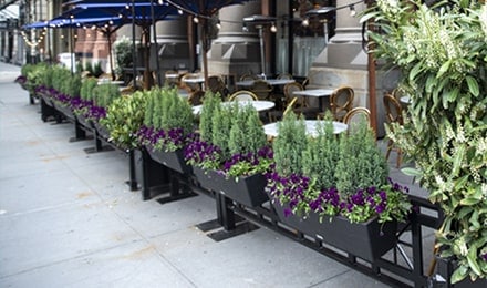 Jardinières de fleurs devant la terrasse d’un restaurant