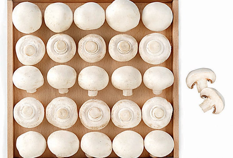 Les champignons de Paris