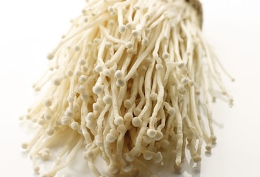 Les champignons enoki