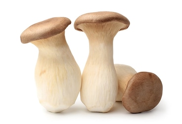 Les champignons eryngii Les champignons eryngii