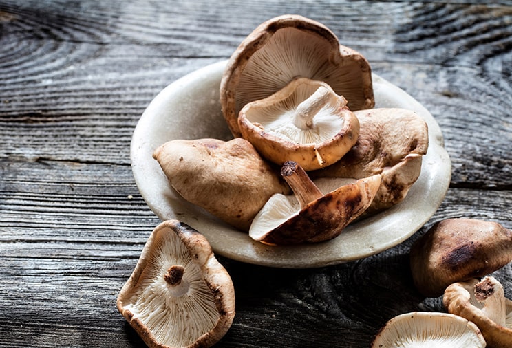Les champignons shiitake