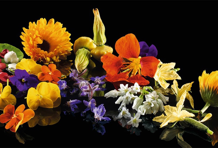 Les fleurs comestibles