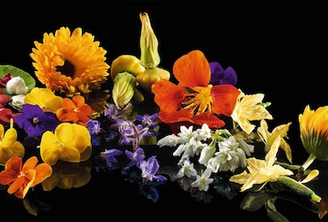 Les fleurs comestibles