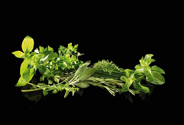 Les herbes aromatiques