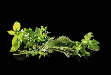 Les herbes aromatiques