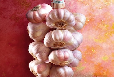 L'ail