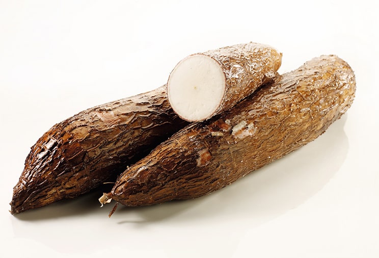 Le manioc