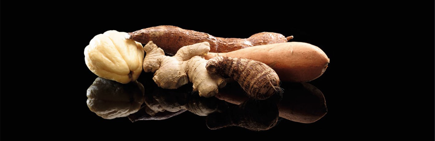 Les légumes exotiques pour professionnels