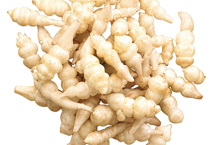 Les crosnes