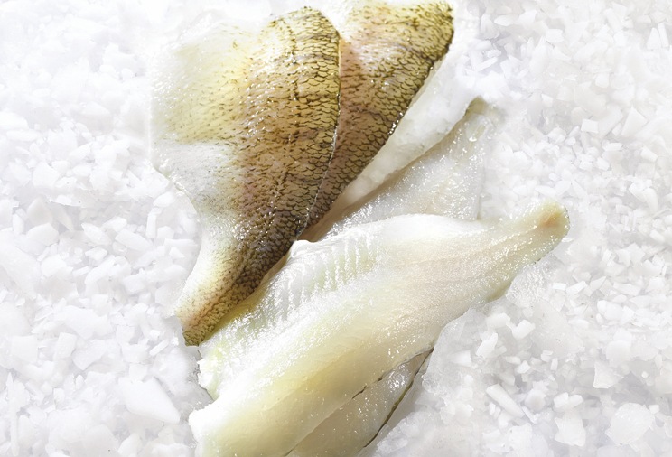 Filet de perche commune