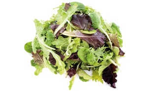 Salade jeunes pousses prête à l'emploi