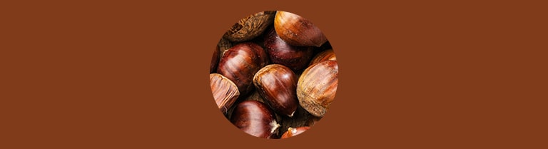 Variété de châtaignes Label Rouge « Marrons »