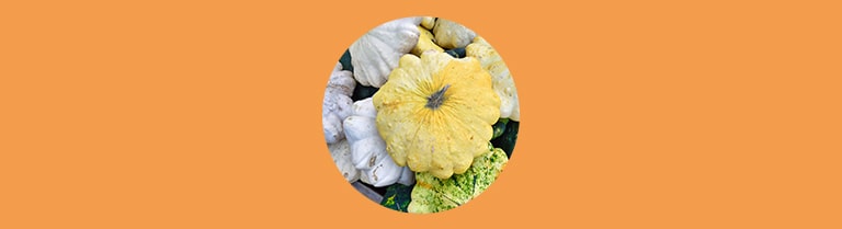 Les variétés de courges : le patisson