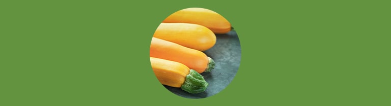 Variété de courgette - De couleur