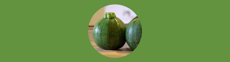 Variété de courgette - Ronde