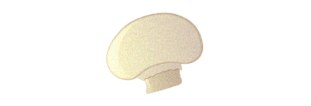 Le champignon de paris