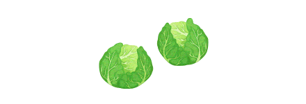 Le chou de bruxelles