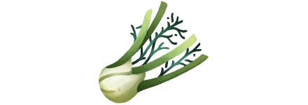 Le fenouil