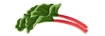 La rhubarbe