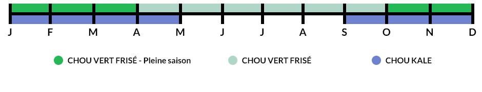 Les saisons de la production du chou frisé