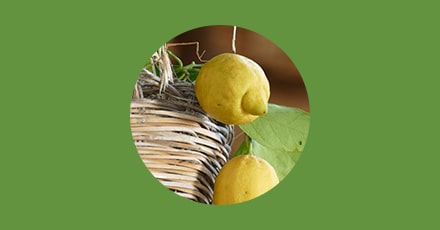 Variété de citron - Le Femminello ou citron de Sorrente